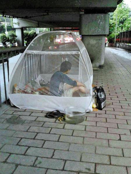 桥底蚊帐似"皇宫" 流浪汉安营扎寨