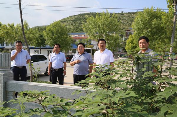 张大伟调研吴家庄河河长制工作-平邑政府网_平邑县