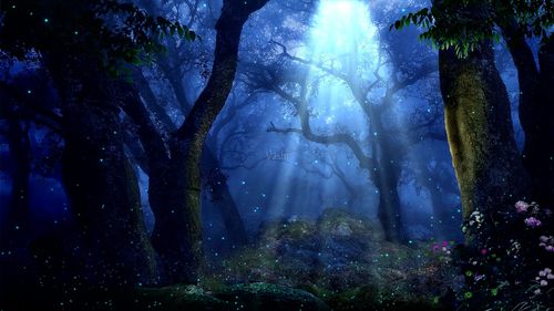 夜晚森林光线粒子背景