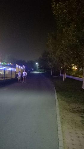 夜晚的山路既热闹也静谧