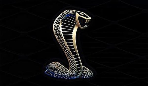 一条眼镜蛇标志的车是什么车