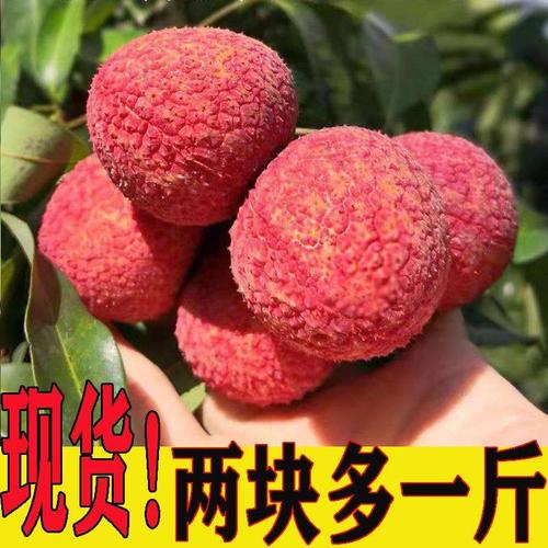 一级果产地:广西壮族自治区梧州市蒙山县品种名:白糖罂荔枝商品属性