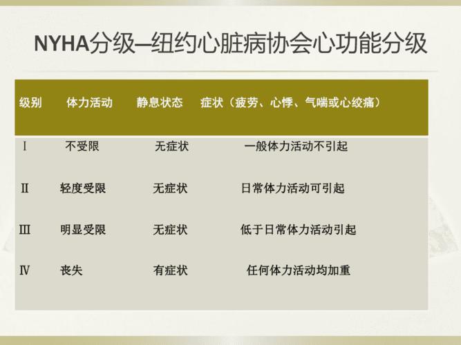 心功能的分级资料1ppt