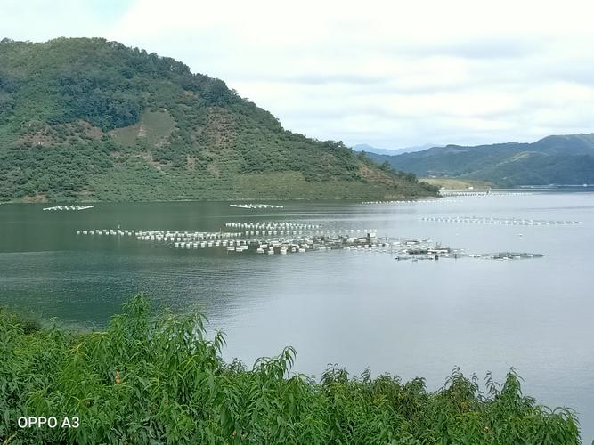 丹东小韭菜沟,北方的千岛湖一日游随拍.