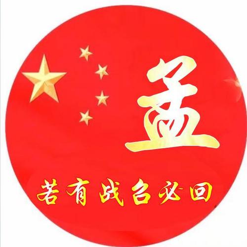 爱国姓氏头像,若有战召必回
