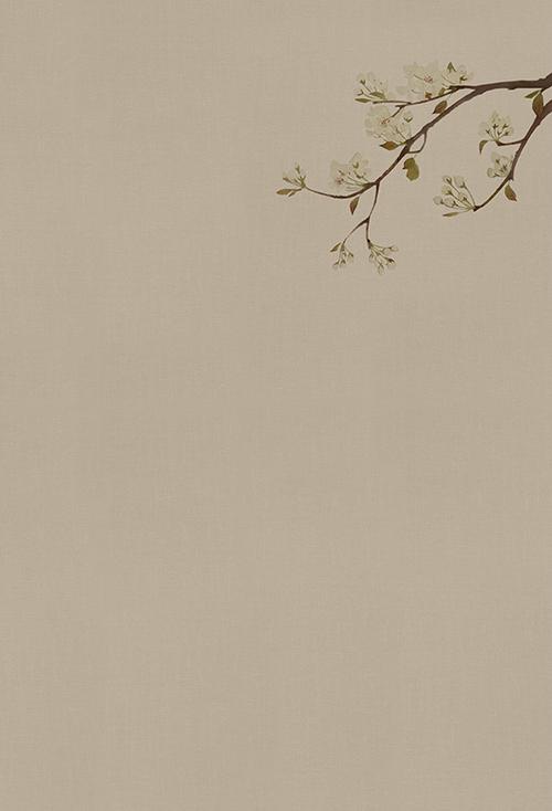 背景影楼工笔画戏曲艺术写真pp古装写真pz469背景布类