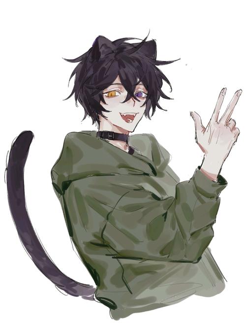 黑猫大少爷直播周报第一期