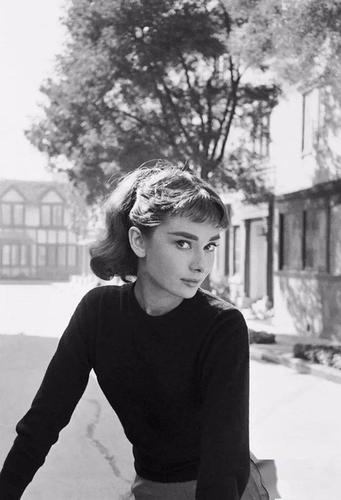 奥黛丽-赫本已经成为一把标尺, 任何女星都无法抗拒用她来丈量自己的