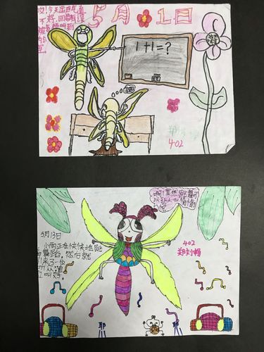 《昆虫记》师生共读——绘本创作 一"画"一世界