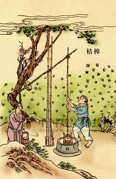 树精(聊斋故事)