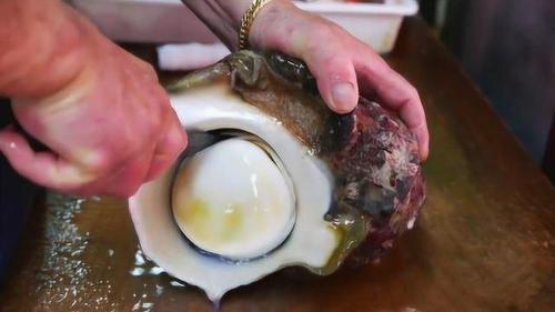 巨型海蜗牛,日本人一刀撬开直接生吃,网友:确定能吃?