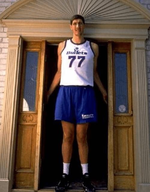 3,穆雷桑(臂展2米39)