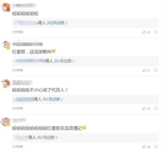 孙红雷买瓜偶遇刘华强保熟表情包