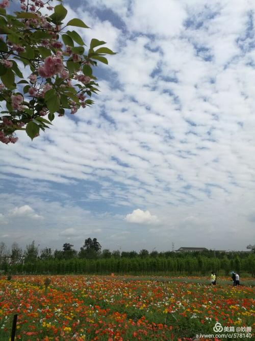 郫县唐昌镇外文三路(郫县三中)对面,有个叫"花田人家"的农家乐,面积