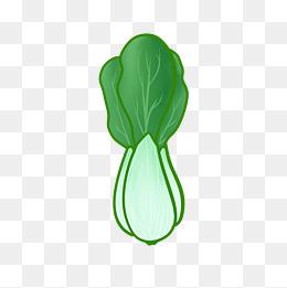 卡通蔬菜白菜插画