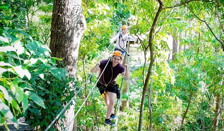 treetopchallenge树上探险挑战|体验最刺激原始丛林户外探险