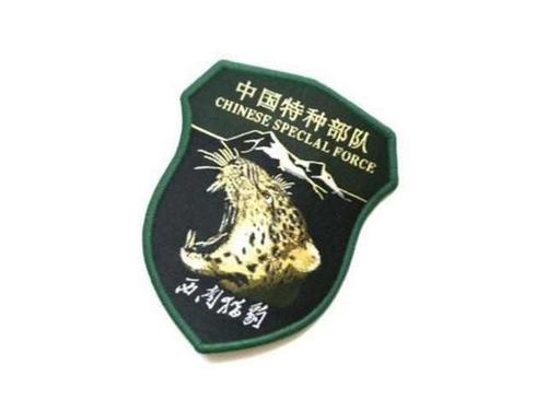 中国五大特种部队及其专属臂章,你最喜欢哪一个?