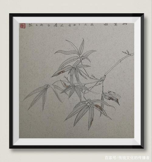 竹子系列白描作品
