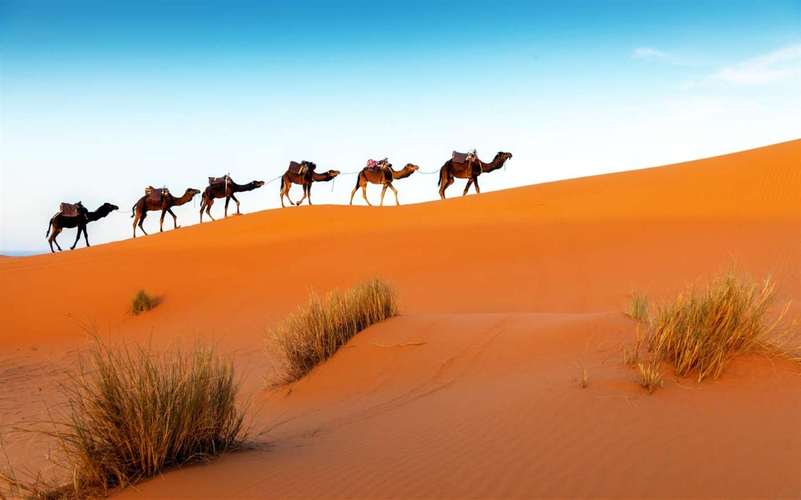 win10免费壁纸集inthedesert上架带你领略沙漠风光
