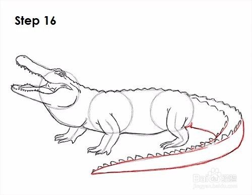 如何绘制鳄鱼——加菲的吃货生活