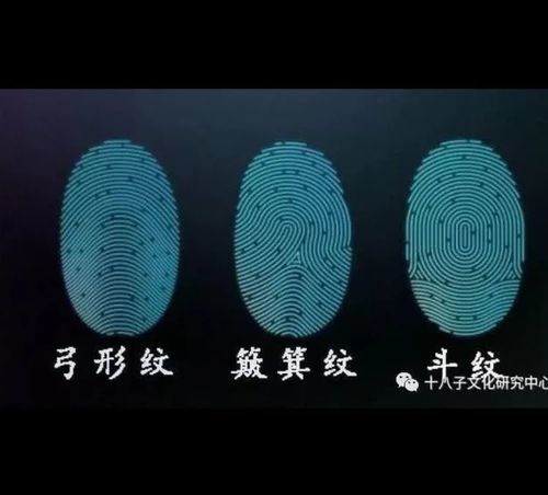 指纹有三种类型,一种是弓形,纹路弯起来像弓一样;一种是箕型,纹路比