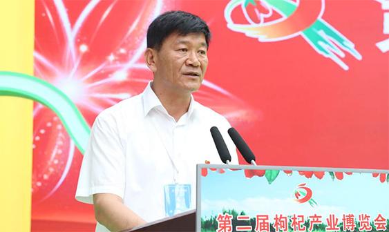 陈宏:让中宁枸杞"红"飘海内外_新华访谈_新华网