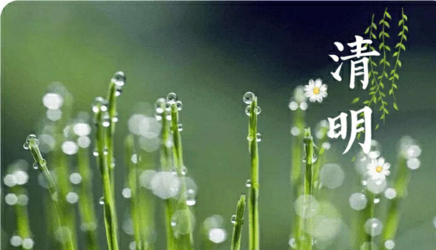 红光琦幼儿园2019年清明节放假通知及温馨提示