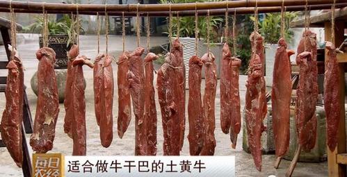 每日农经适合做牛干巴的筠连黄牛