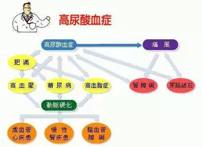 是痛风和高尿酸血症患病率升高的重要原因.