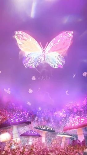 ae模板梦幻蝴蝶