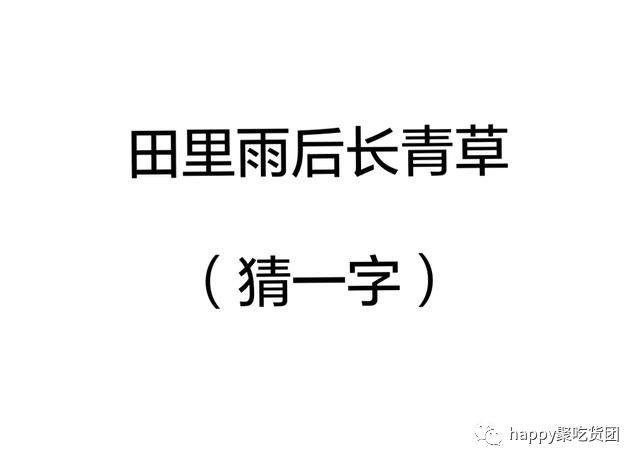 猜字谜:田里雨后长青草 (打一字)