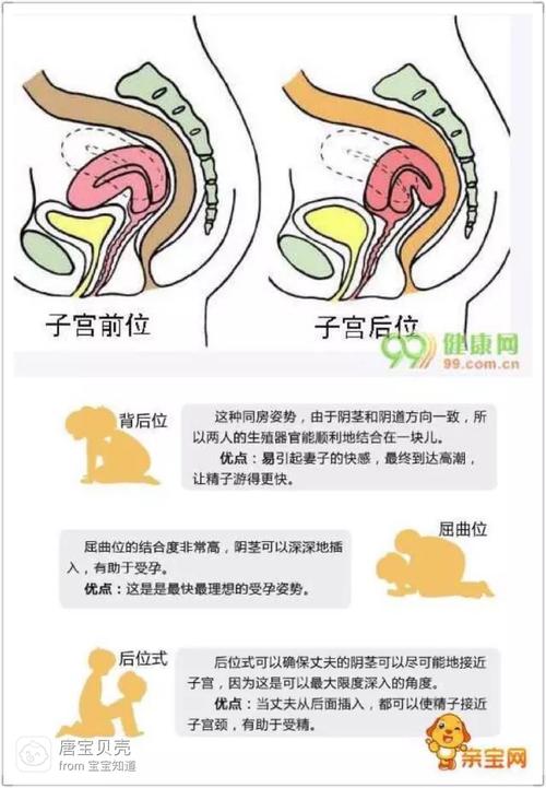 子宫后位这样怀孕会容易点!
