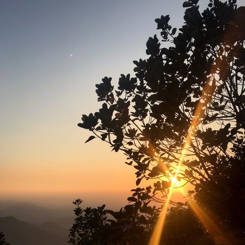 深圳第一高峰梧桐山,人间美景啊,整整用了一天时间腿都不会动了