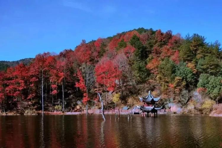 江夏竟然有这么多好玩的地方你都去过吗