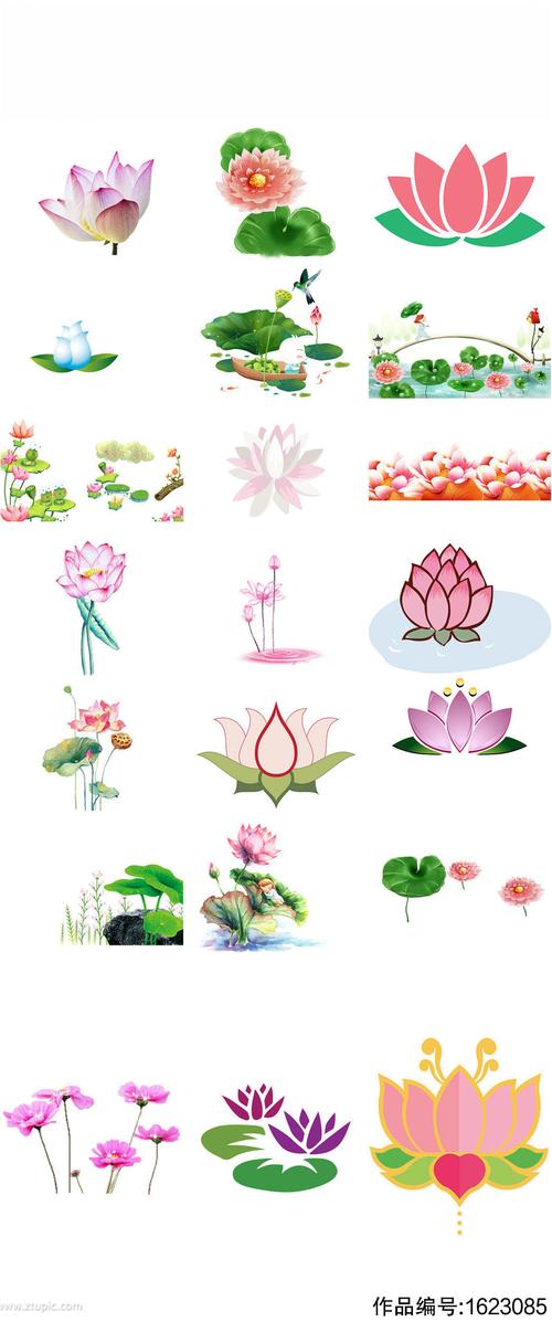 可爱卡通荷花中国风荷花卡通
