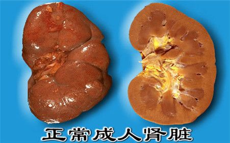 慢性肾衰竭疾病的常见病因是什么