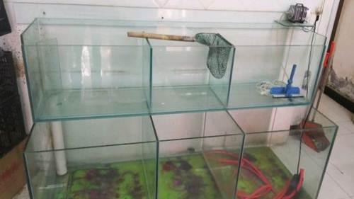 双层鱼缸,不卖鱼了,闲置