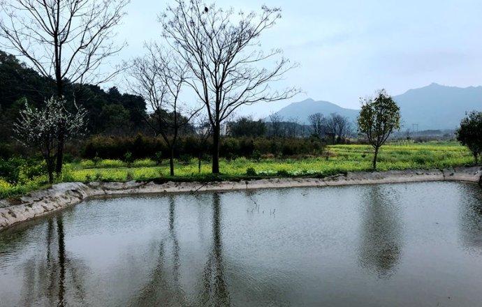 【原创】画里乡村——马塘