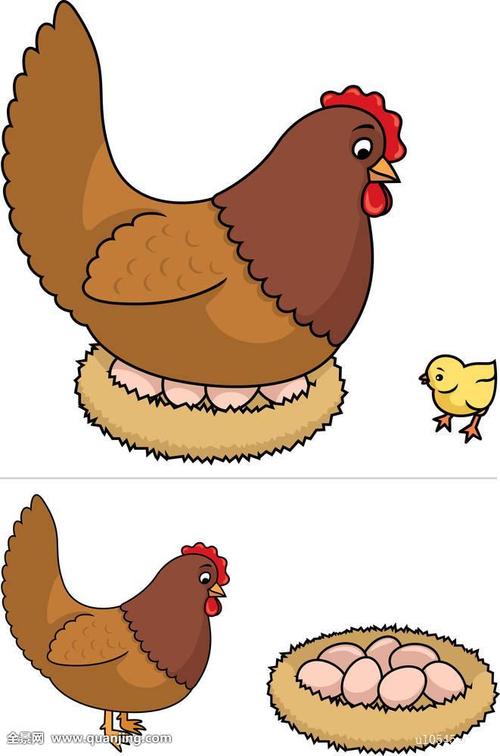 母鸡的图片大全卡通(2)