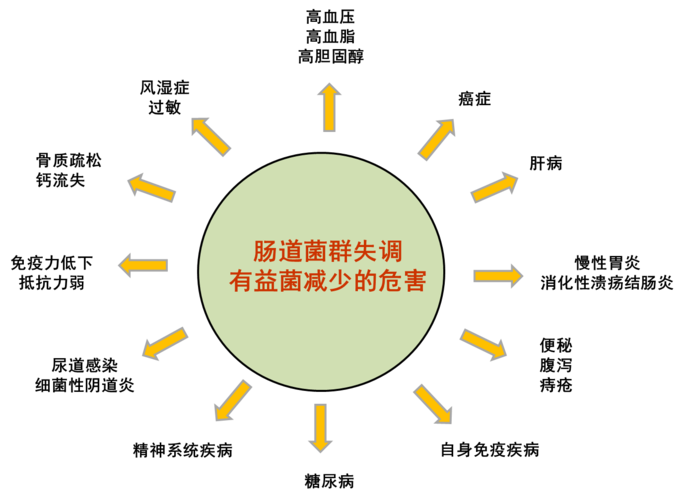 肠道菌群——人体健康晴雨表-天益大健康