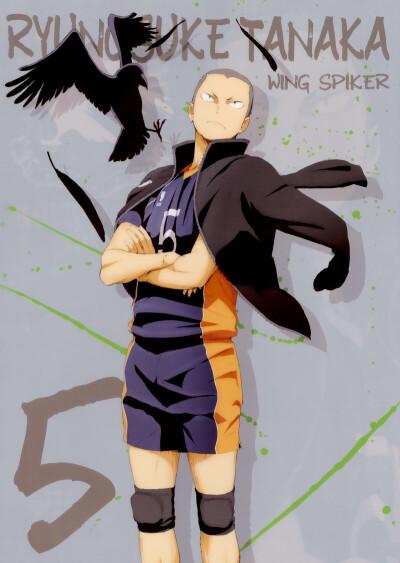 日向翔阳 影山飞雄 泽村大地 菅原孝支 田中龙之介 西谷夕 东峰旭 月