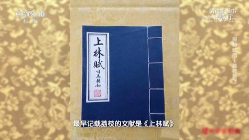最早记载荔枝的文献来自司马相如《上林赋》,文中写作"离支",意思是割