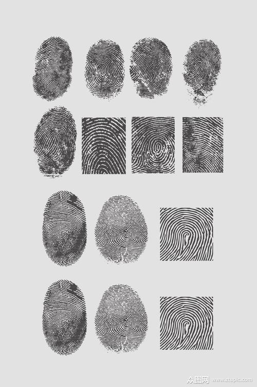 ai矢量手指指纹模板下载-编号1384016-众图网