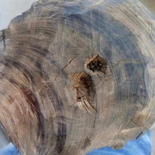 请专家帮我确认一下这是奇楠老料吗?