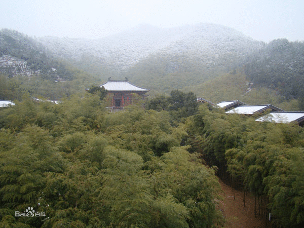 顾渚山茶园