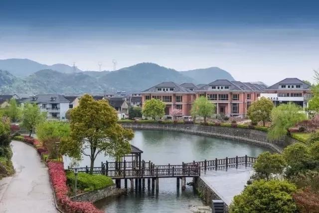 奉化区西坞街道金峨村.图片来源:宁波文明网