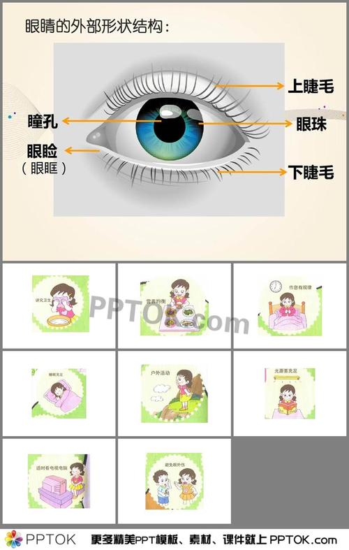 幼儿园小班健康活动保护眼睛ppt课件