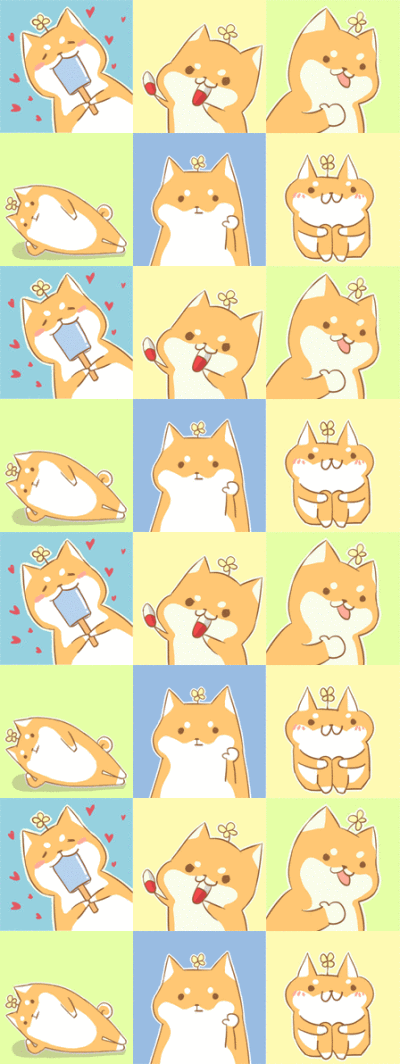 柴犬!