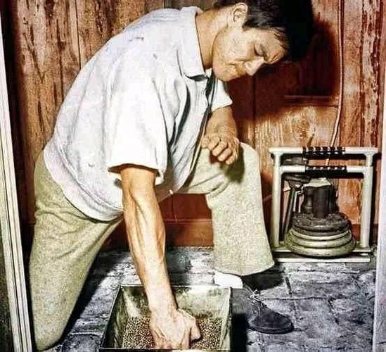 李小龙训练时旧照曝光,最后一种训练方式简直是赌命