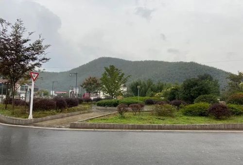 太华镇太平村成功获评"2020年度宜兴市农村人居环境整治综合示范村"!